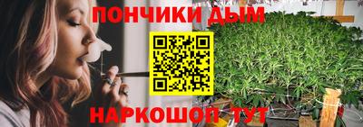 крисы Краснодар