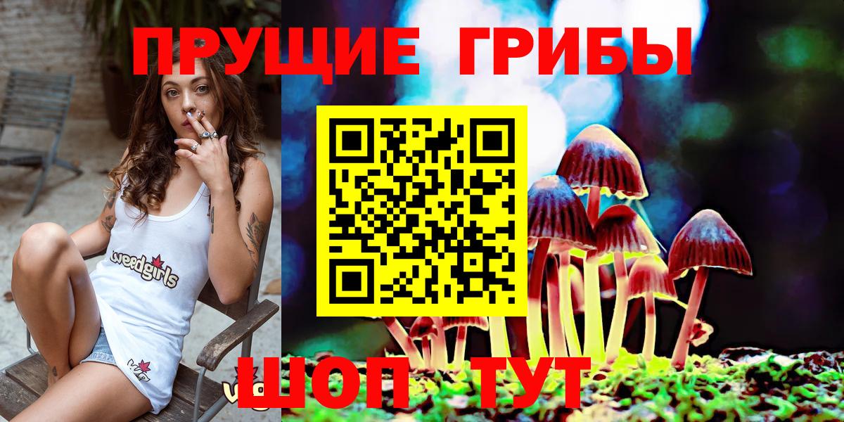 Воркута  Галлюциногенные грибы ЛСД  Вход с VPN 